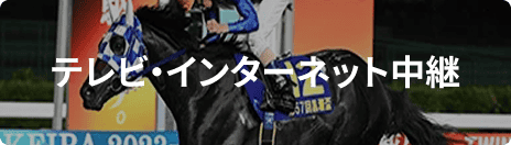 テレビ・インターネット中継